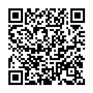 虽然苏凡明白紫舞晴脸上的那个笑容时装出来的二维码生成