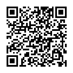 虽然苏凡觉得眼前的这个年轻人不一定是自己的对手二维码生成