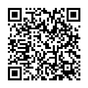 虽然苏林还弄不明白为什么她活了这么多年之后二维码生成