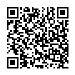 虽然苗毅当年血洗天街的事情远没有传言说的那么可怕二维码生成