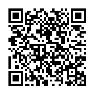 虽然范海知道了李天宇便是那得到龙魂谷传承的人二维码生成