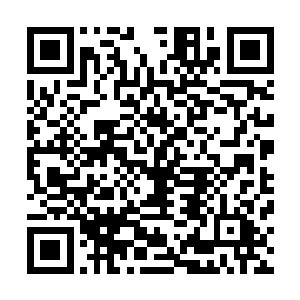 虽然莫名他们怎么会带着一个似乎的本地居民的少年要出城二维码生成