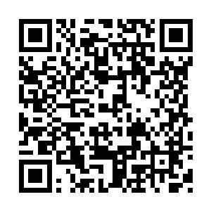 虽然萧南山并不清楚眼前发生的一切该如何解释二维码生成