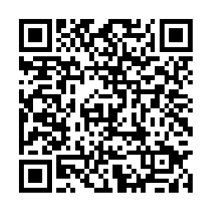 虽然血脉因为继承到笛繁衍的属于血妖姬的一点儿二维码生成