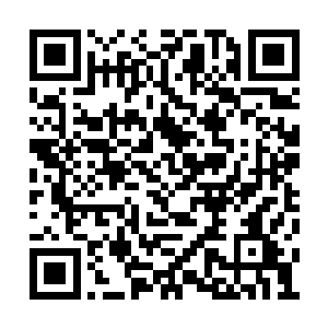 虽然覆盖住了林封谨附近几乎是二三十丈的范围二维码生成