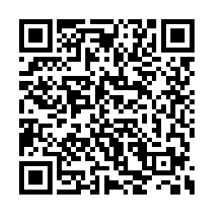 虽然觉得自己不会做出半夜梦游到白兰身上的事二维码生成