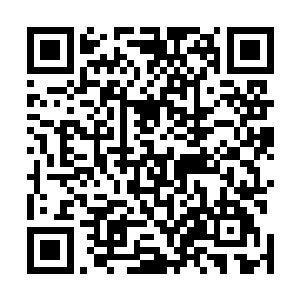 虽然认出这些人穿的铠甲上有着西凉军派的豺虎雕像标志二维码生成