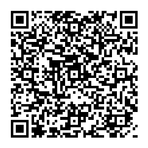 虽然许多化气境剑者尤其是那些天才剑者往往在战斗之时都会将剑气和意境之力凝聚于剑器之上二维码生成
