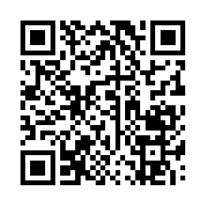 虽然许浩量和杨玲珑之间整整差了一个境界二维码生成