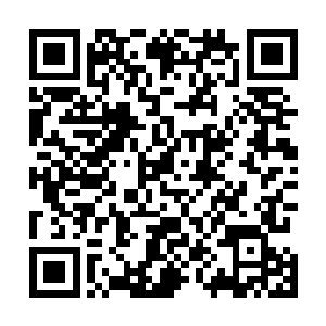 虽然说之前的时候杨戬在毒谷的时候收获了不少的能量点二维码生成