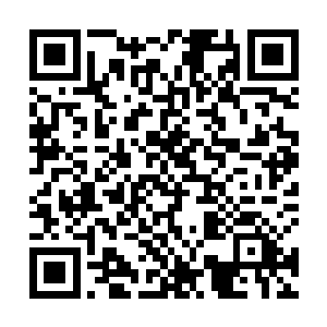 虽然说之前的时候杨戬已经说了可以治疗他身上的伤势二维码生成