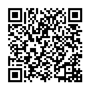 虽然说之前的时候杨戬遭到了祭台上面的恐怖的能量的攻击二维码生成