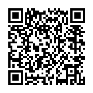 虽然说之前的时候龙傲天的修为已经达到了天尊后期的水平二维码生成