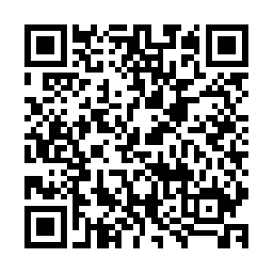 虽然说之前的时候龙傲天表现出来的东西令赤炎神蛟有些意外二维码生成