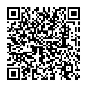 虽然说从之前的时候云翳那里得来的消息眼前的龙傲天貌似有些不简单二维码生成