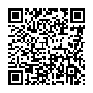 虽然说他之前已经决定为了大局而牺牲这金色小龙二维码生成