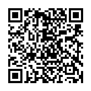 虽然说他之前的时候已经预料到了龙傲天或许不是简单的人物二维码生成