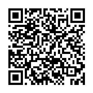 虽然说他们两个现在都已经是一只脚踏入了混沌天境界的高手二维码生成