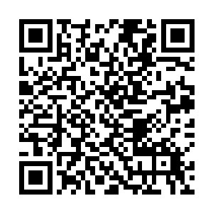 虽然说他们现在基本上已经不太可能染指试练的第一了二维码生成