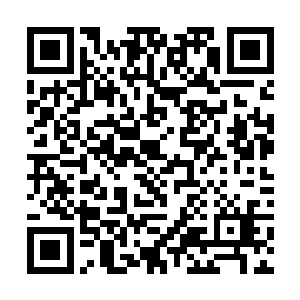 虽然说伤势并不十分的严重但是心总仍然是比较难受二维码生成
