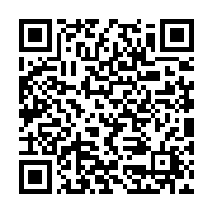 虽然说修罗星的灵智感应到杨遐有可能是天界之主二维码生成