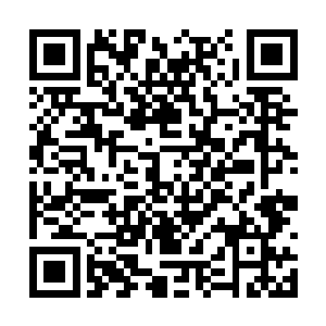 虽然说凯莉以前的时候也是被龙家的人称作老祖宗二维码生成