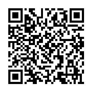 虽然说刚才的时候龙傲天仅仅是用了四成的力道二维码生成