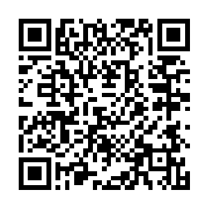 虽然说加拿大的冰球青年联赛主要是以参与和培养为主二维码生成