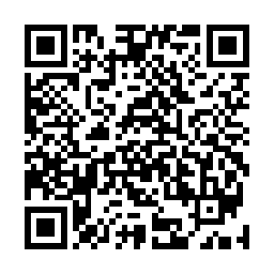 虽然说台岛这位女总统的确总做些让人气的牙痒痒的事情二维码生成