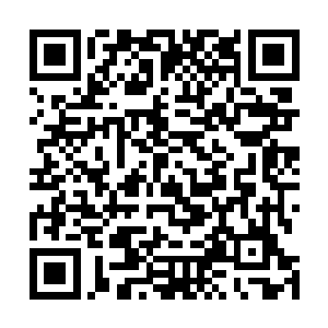 虽然说后来几个低级弟子勉强重新拉扯出来龙虎山的旗帜二维码生成