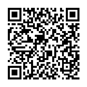 虽然说圣龙一族名面上或许不会对锦鲤一族出手二维码生成