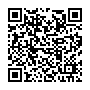 虽然说在有钱人家当丫鬟比跟着自己捕鱼更有出息二维码生成