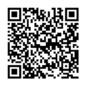 虽然说大部分资产都是以东南航空公司股份的形式存在二维码生成