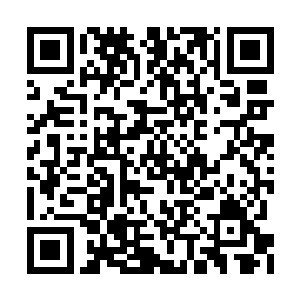 虽然说她不知道此时的陆青的情况到底怎么样了二维码生成