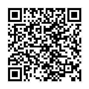 虽然说对于一般人来说龙傲天的攻击已经十分的逆天了二维码生成