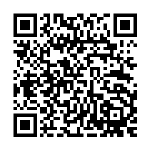 虽然说布拉德和雨果的对决在北美几乎被人们轻描淡写的忽略了二维码生成