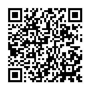 虽然说带上孙元的话杨戬的安全系数的确能够提升不少二维码生成