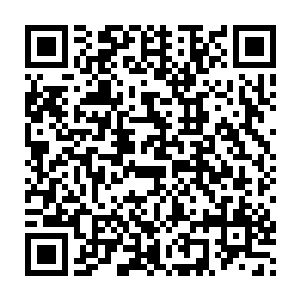 虽然说张山的反击对于那个实力强横的敌人来说可能实在是太过脆弱二维码生成