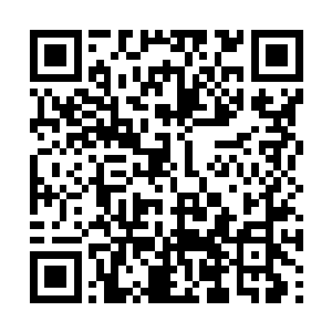 虽然说恶龙之魂之中的不灭之灵要比蛮苍强大不少二维码生成