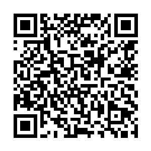 虽然说杨晨和赵羽突破炼虚境界并不需要这两位灵材二维码生成
