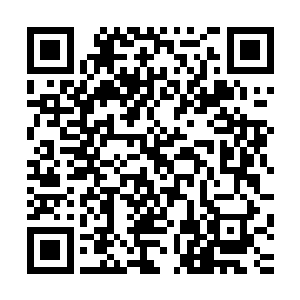 虽然说此时两个人的战斗力已经远远不是巅峰时期能够比拟的二维码生成