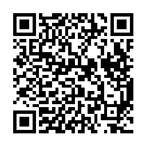 虽然说没有一个能够跟杨戬之前的时候在外面遇到的那个二维码生成