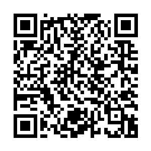 虽然说没有领悟法则…但是冥灭生也为我圣殿立下了汗马功劳二维码生成