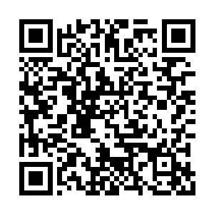 虽然说混沌魔猿跟九幽冥凤比起来恐怕有些不如二维码生成