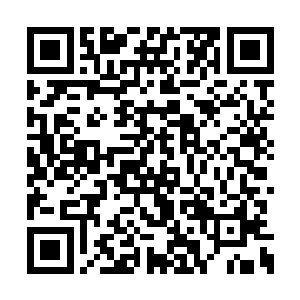 虽然说现在她修炼的可是龙傲天给她的超级功法二维码生成