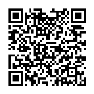 虽然说现在的雷兽不过是只有登天九重顶峰的实力二维码生成