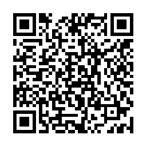 虽然说现在还没过之前跟联盟厂商定下的一年保护期二维码生成