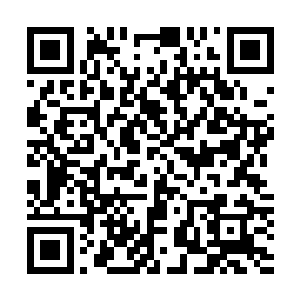 虽然说白素仙深夜跑到自己的房间这种事传出去有点不好听二维码生成