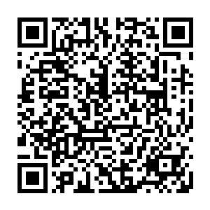 虽然说看上去许德拉的灵魂不知道因为什么原因能够吸收劫雷的力量和炫极天火二维码生成