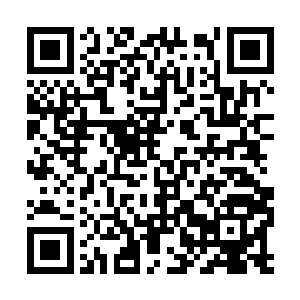 虽然说私底下依然有尸兄没有完全遵守尸王的命令二维码生成